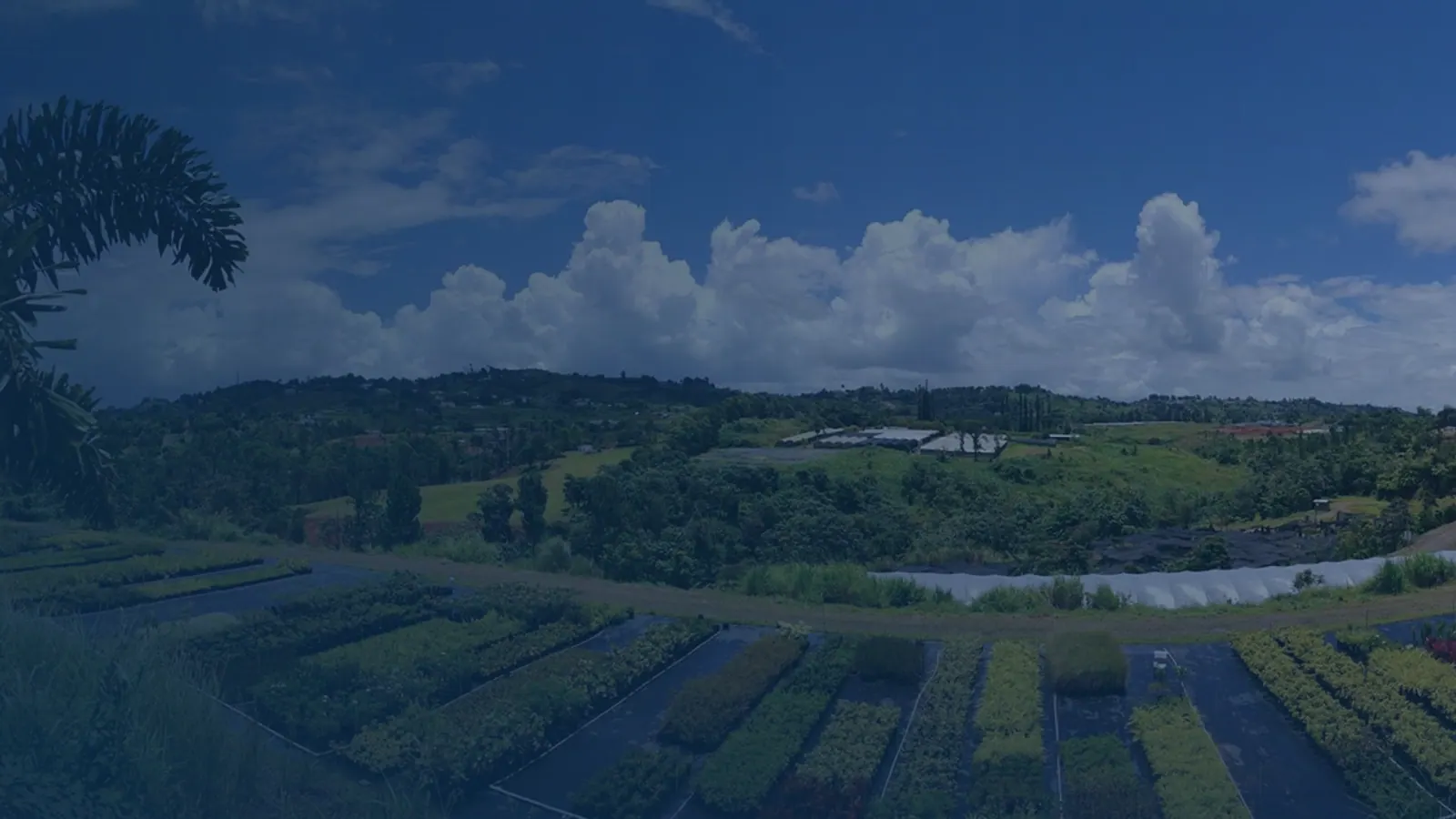 Vital records in Helechal, Puerto Rico | US Records Helechal, Puerto Rico, local vital records service area for birth, death, marriage and divorce certificates