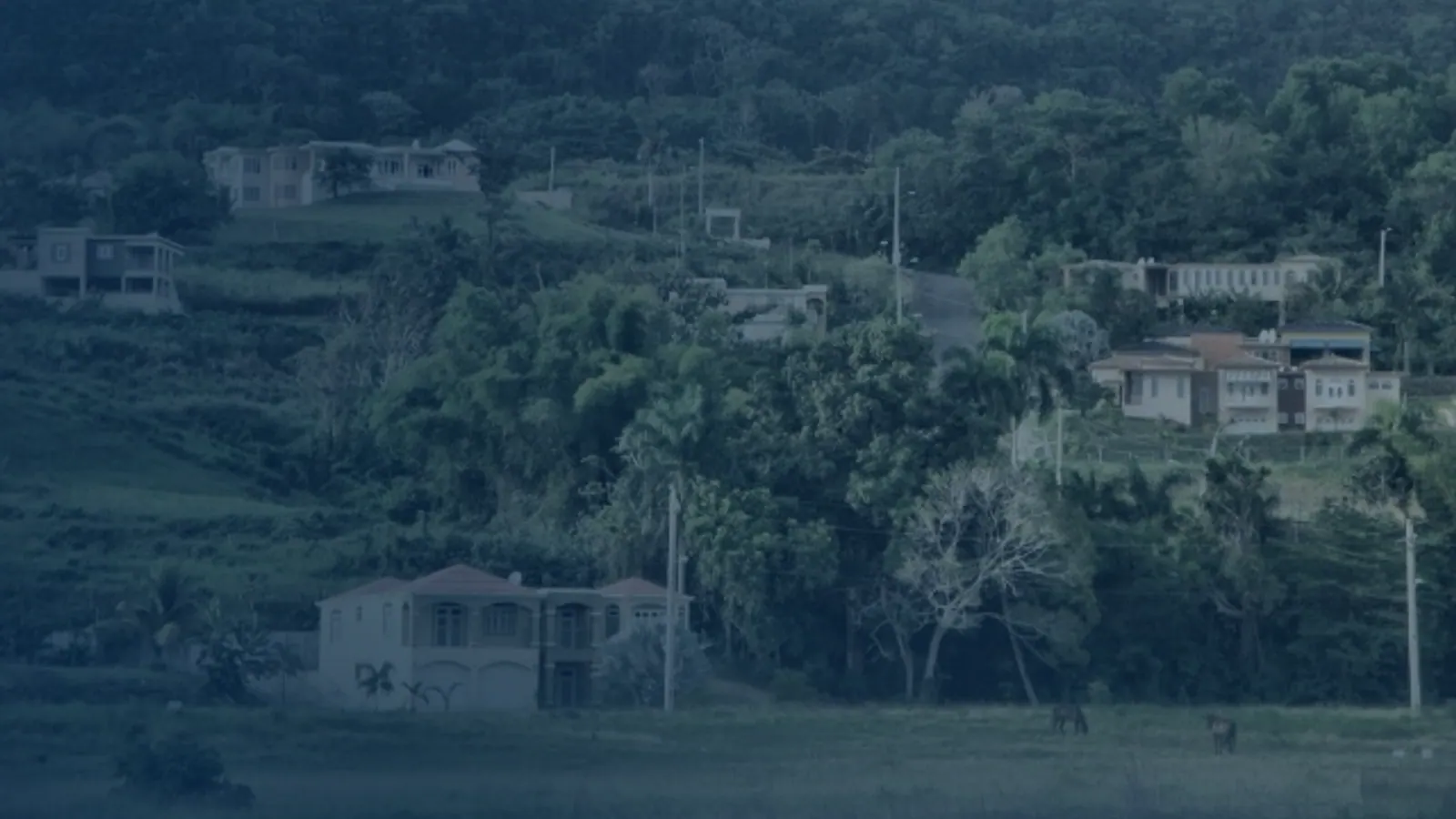 Vital records in Rocha, Puerto Rico | US Records Rocha, Puerto Rico, local vital records service area for birth, death, marriage and divorce certificates
