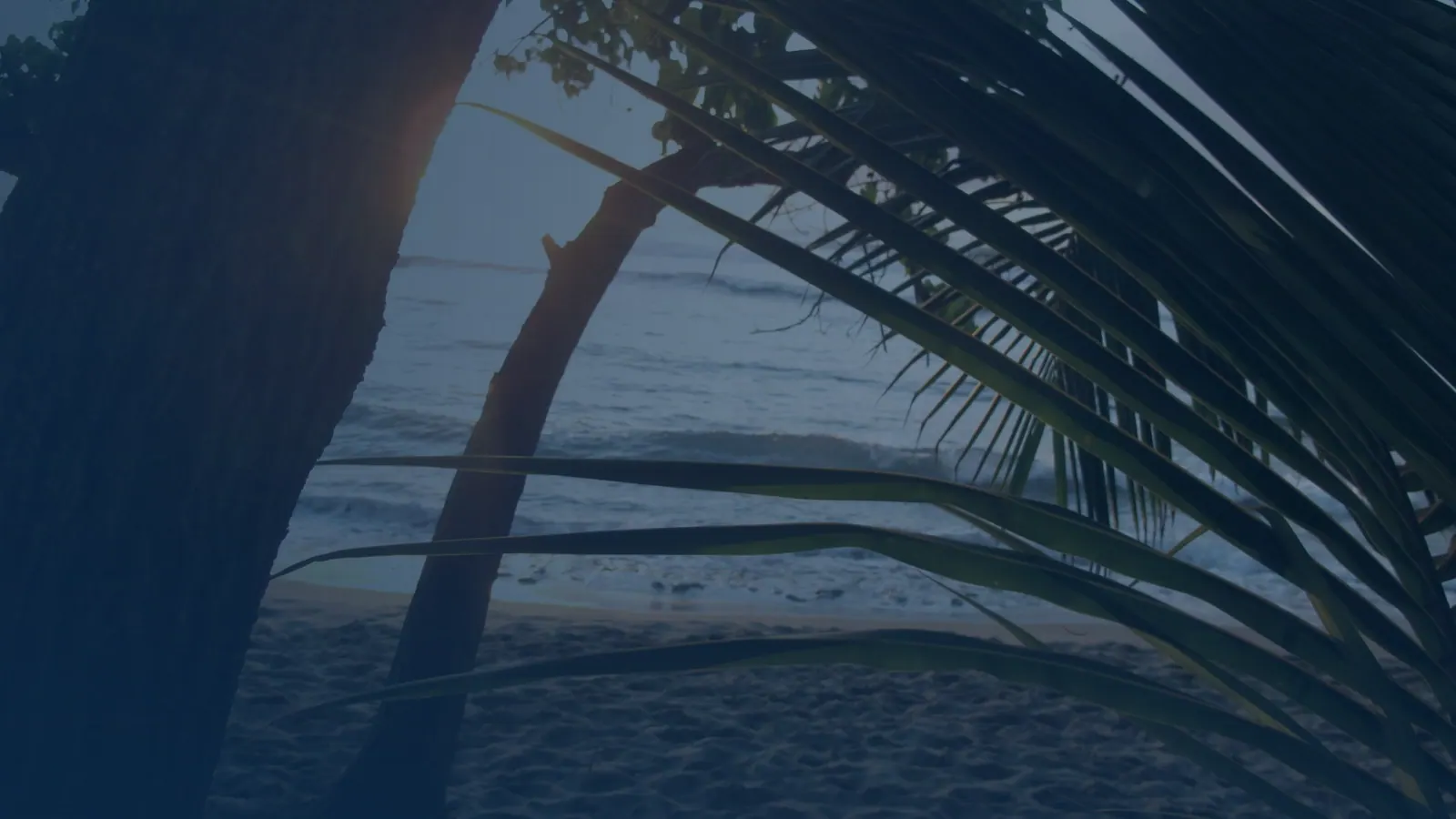 Vital records in Jaguey, Puerto Rico | US Records Jaguey, Puerto Rico, local vital records service area for birth, death, marriage and divorce certificates