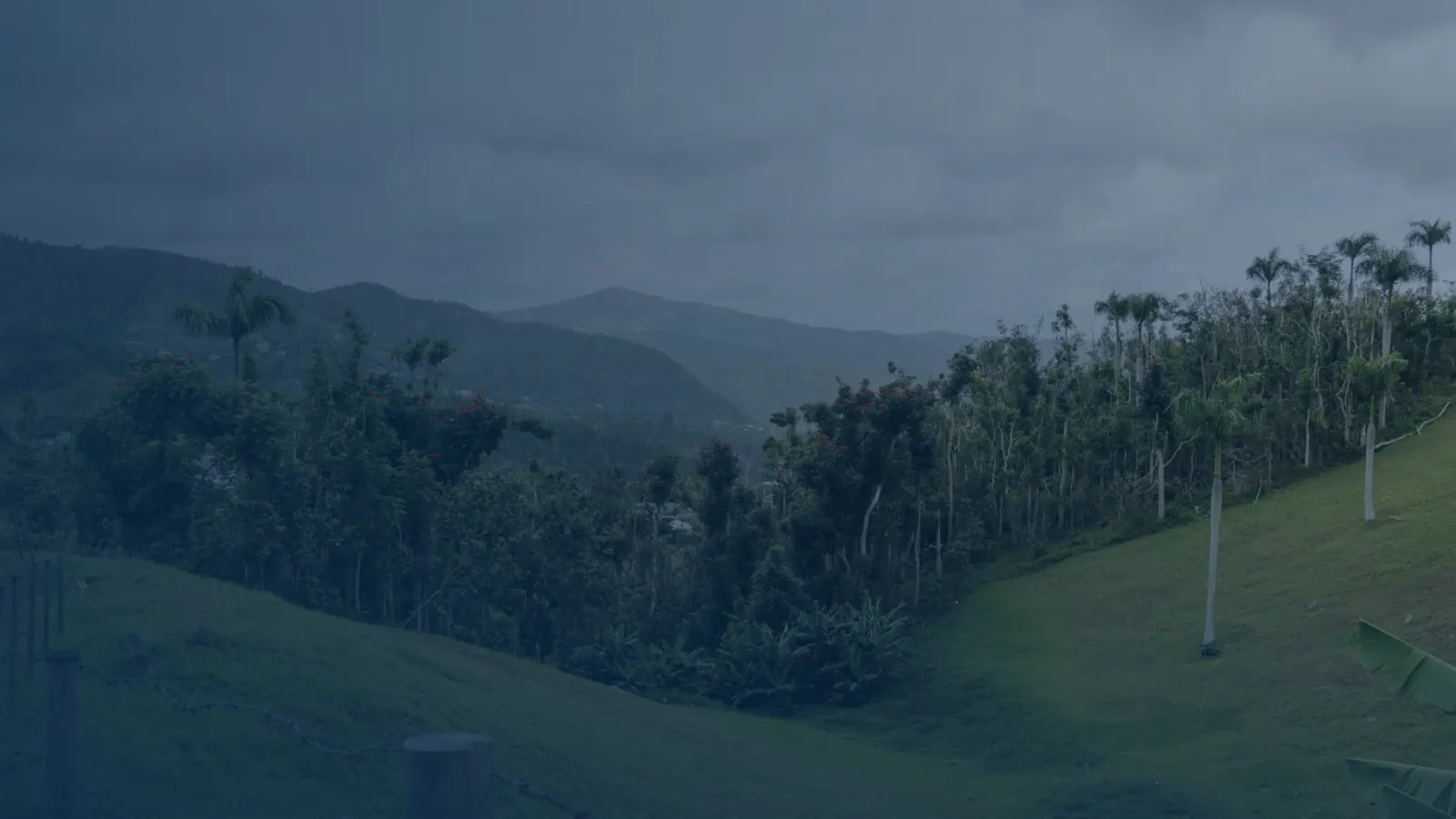 Vital records in Cayaguas, Puerto Rico | US Records Cayaguas, Puerto Rico, local vital records service area for birth, death, marriage and divorce certificates