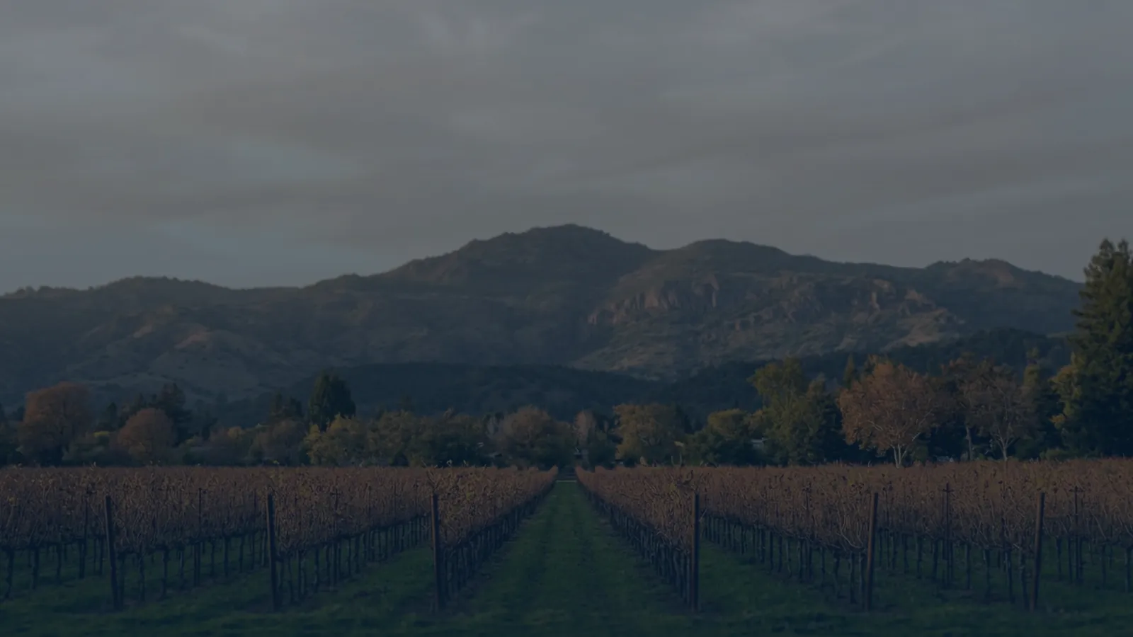 Calistoga, California — local vital records service area for birth, death, marriage and divorce certificates