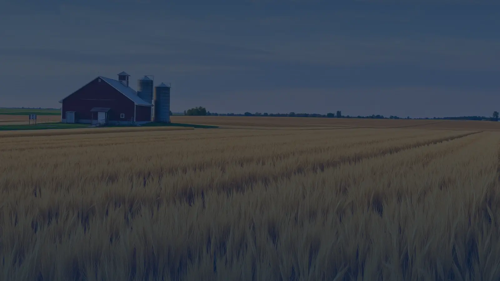 Vital records in Iowa | US Records Iowa — local vital records service area for birth, death, marriage and divorce certificates