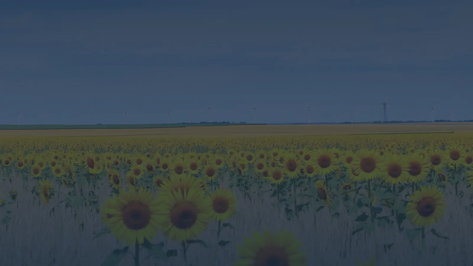 Vital records in Kansas | US Records Kansas — local vital records service area for birth, death, marriage and divorce certificates