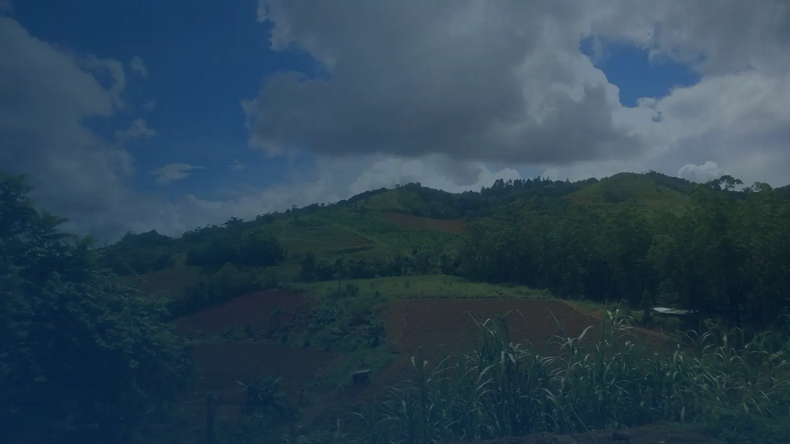 Vital records in Barrancas, Puerto Rico | US Records Barrancas, Puerto Rico, local vital records service area for birth, death, marriage and divorce certificates