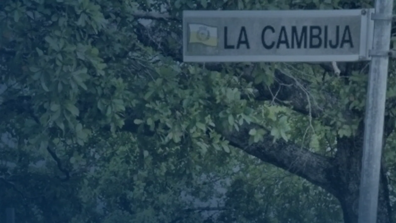 Vital records in Caimital Bajo, Puerto Rico | US Records Caimital Bajo, Puerto Rico, local vital records service area for birth, death, marriage and divorce certificates
