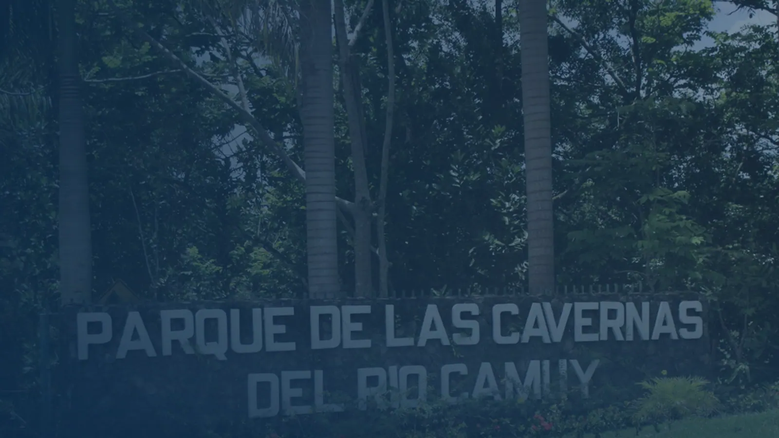 Vital records in Callejones, Puerto Rico | US Records Callejones, Puerto Rico, local vital records service area for birth, death, marriage and divorce certificates