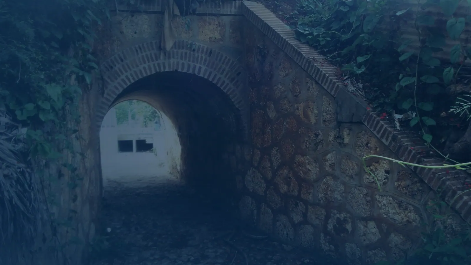 Vital records in Camaceyes, Puerto Rico | US Records Camaceyes, Puerto Rico, local vital records service area for birth, death, marriage and divorce certificates