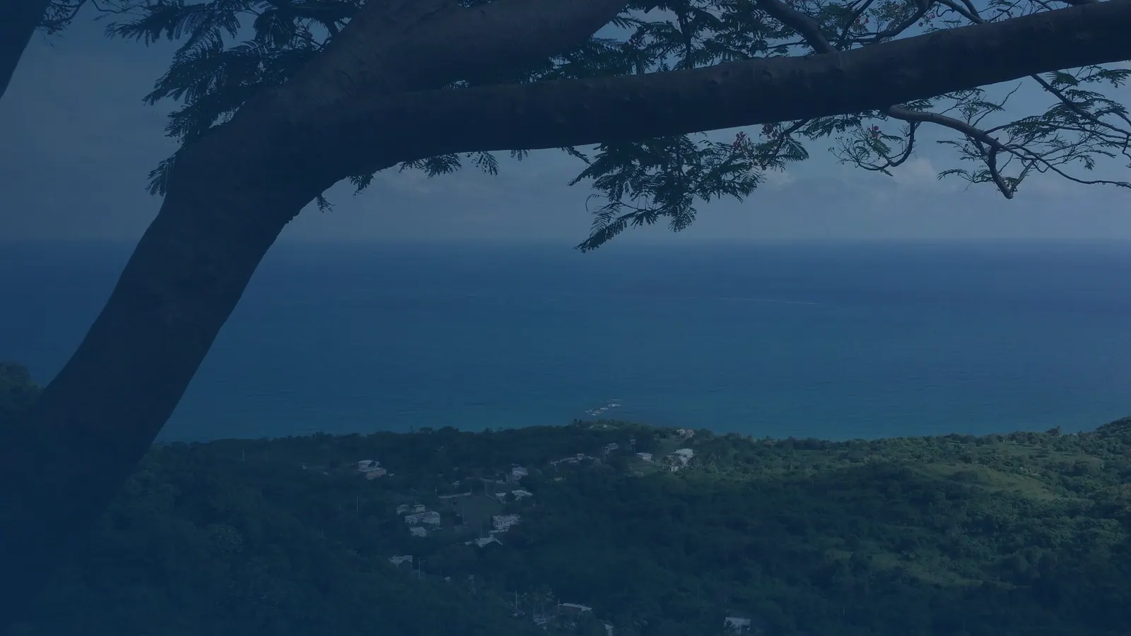 Vital records in Camino Nuevo, Puerto Rico | US Records Camino Nuevo, Puerto Rico, local vital records service area for birth, death, marriage and divorce certificates