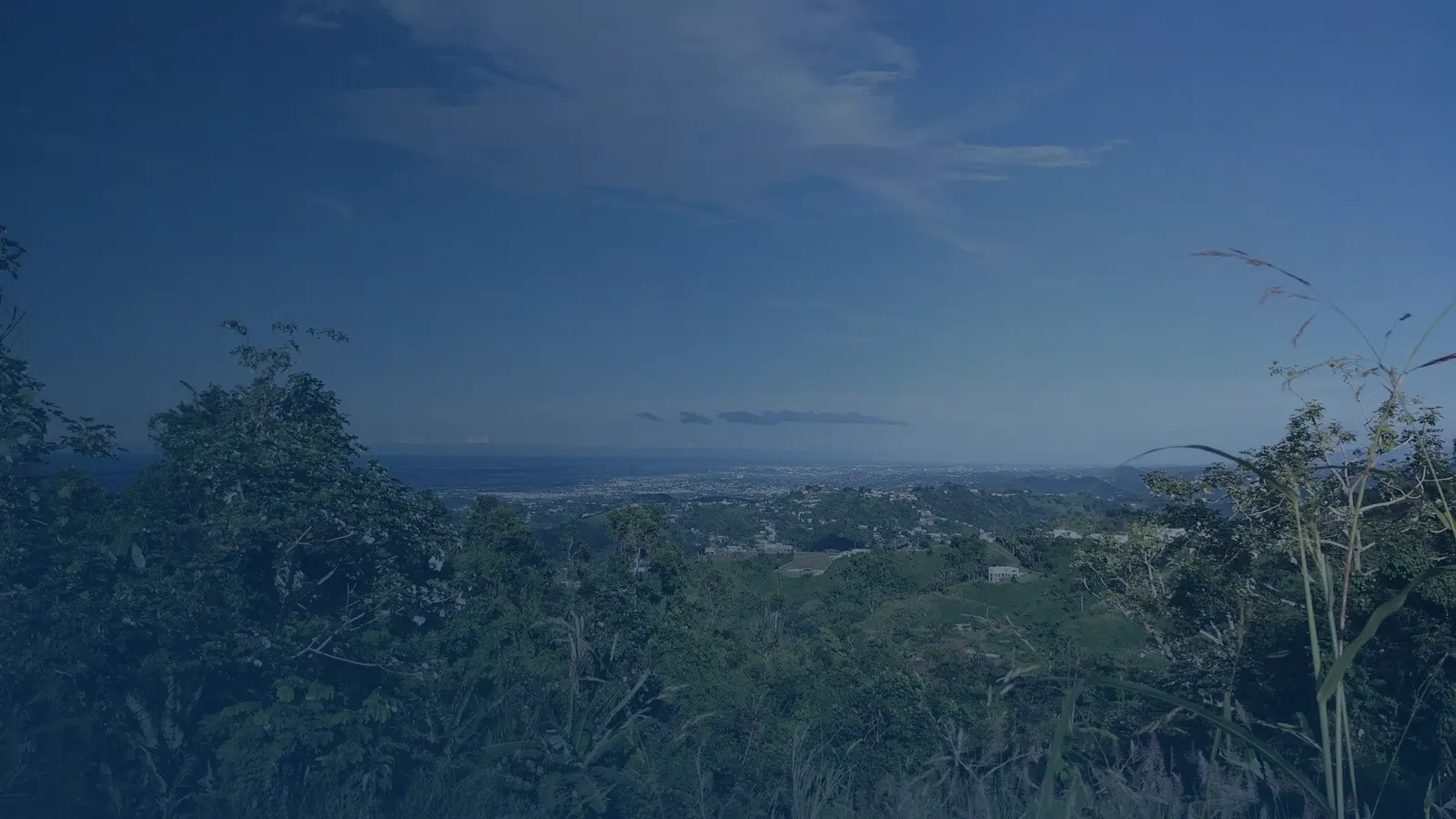 Vital records in Cedro Abajo, Puerto Rico | US Records Cedro Abajo, Puerto Rico, local vital records service area for birth, death, marriage and divorce certificates