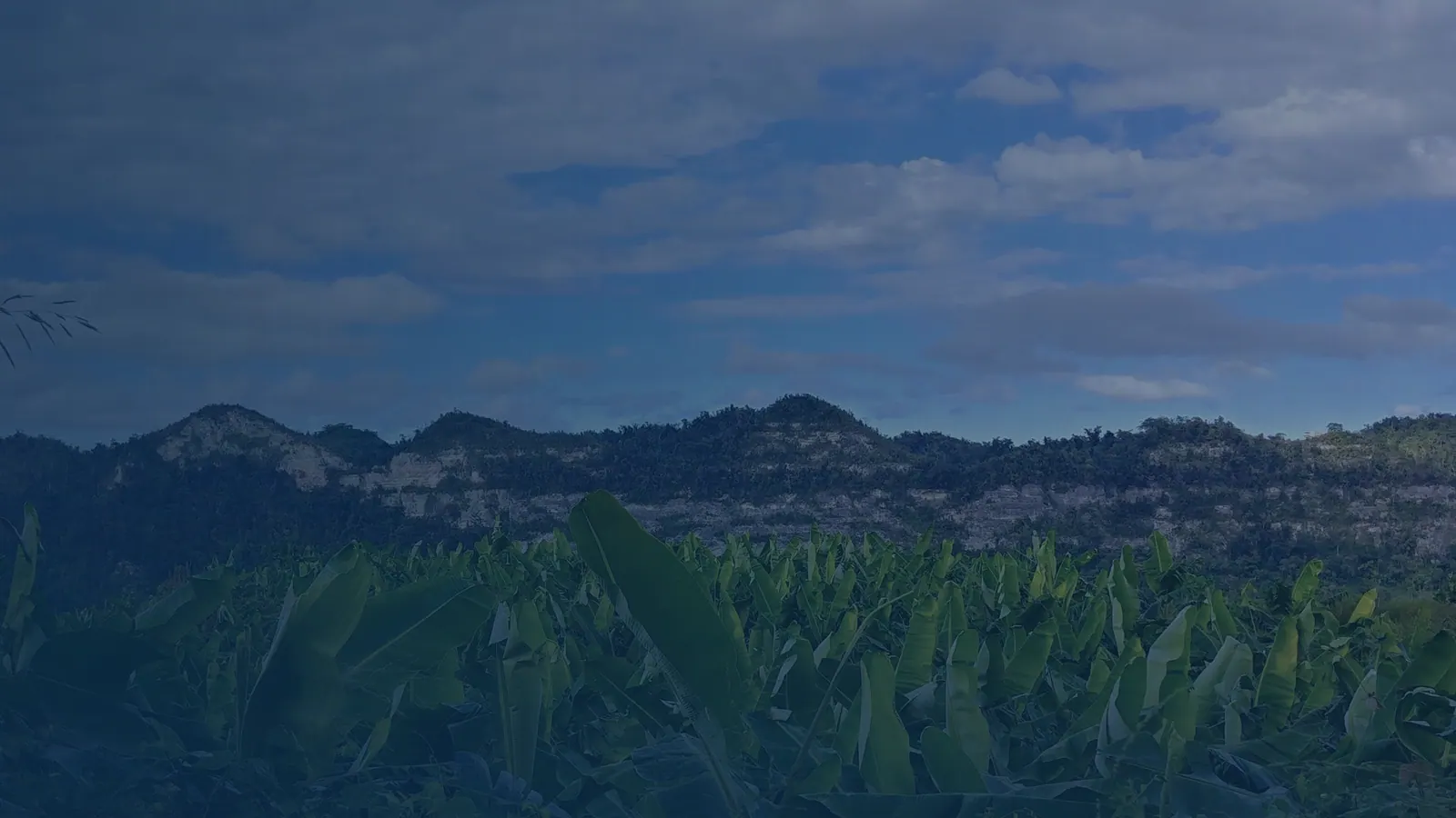 Vital records in Cibuco, Puerto Rico | US Records Cibuco, Puerto Rico, local vital records service area for birth, death, marriage and divorce certificates