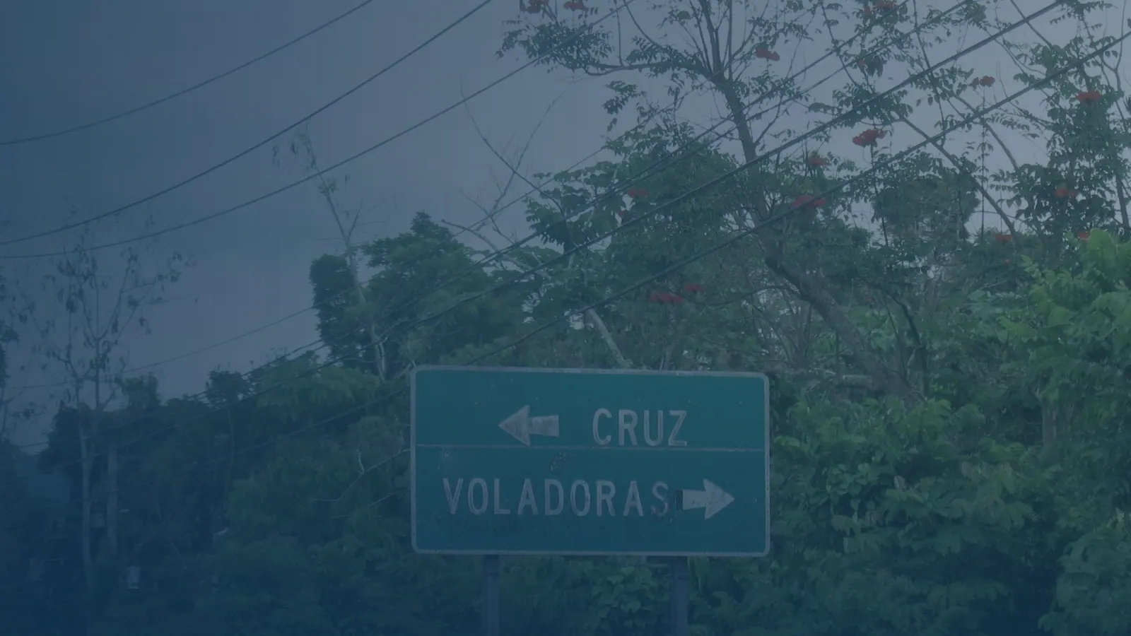 Vital records in Cruz, Puerto Rico | US Records Cruz, Puerto Rico, local vital records service area for birth, death, marriage and divorce certificates