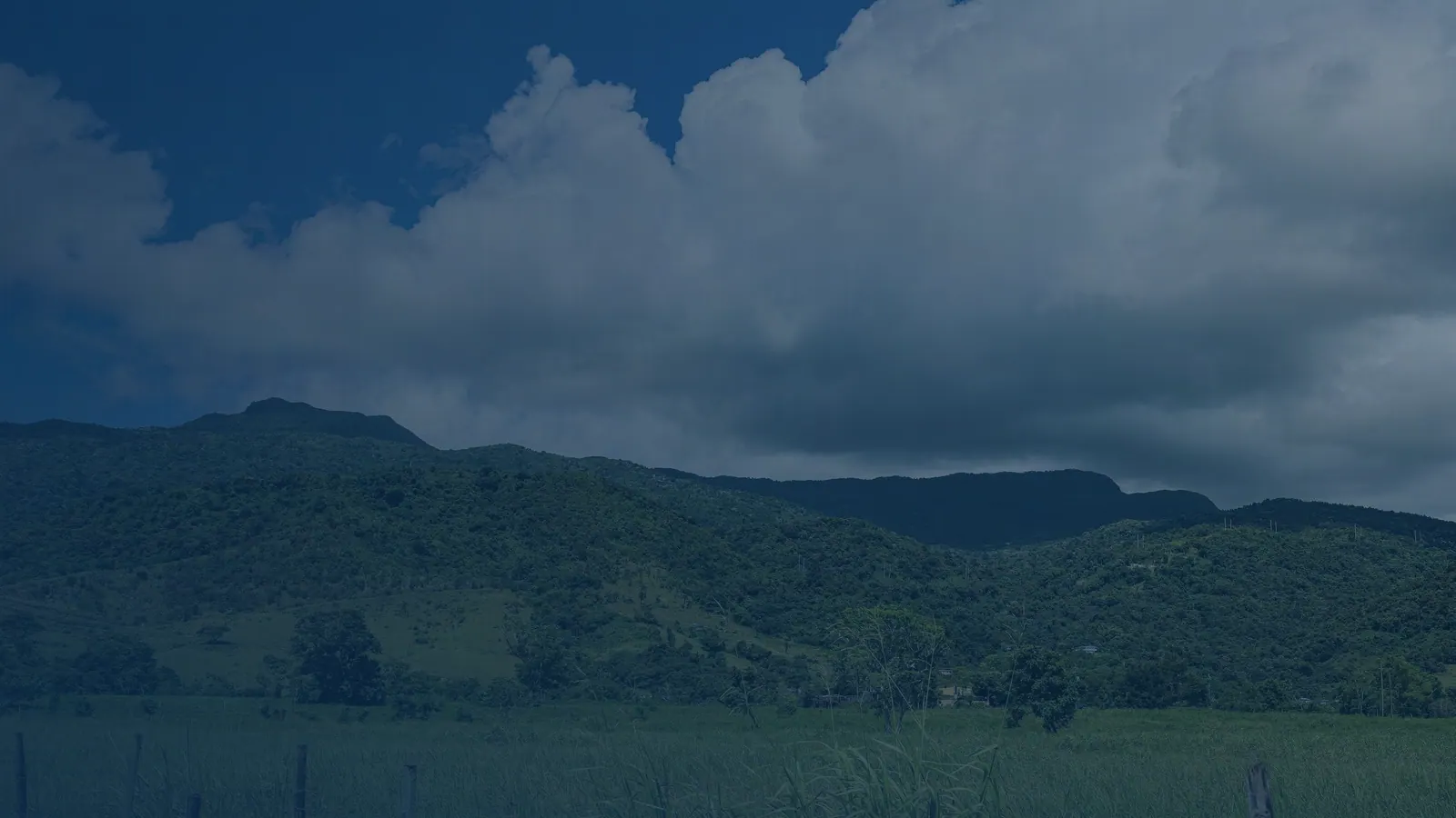 Vital records in El Rio, Puerto Rico | US Records El Rio, Puerto Rico, local vital records service area for birth, death, marriage and divorce certificates