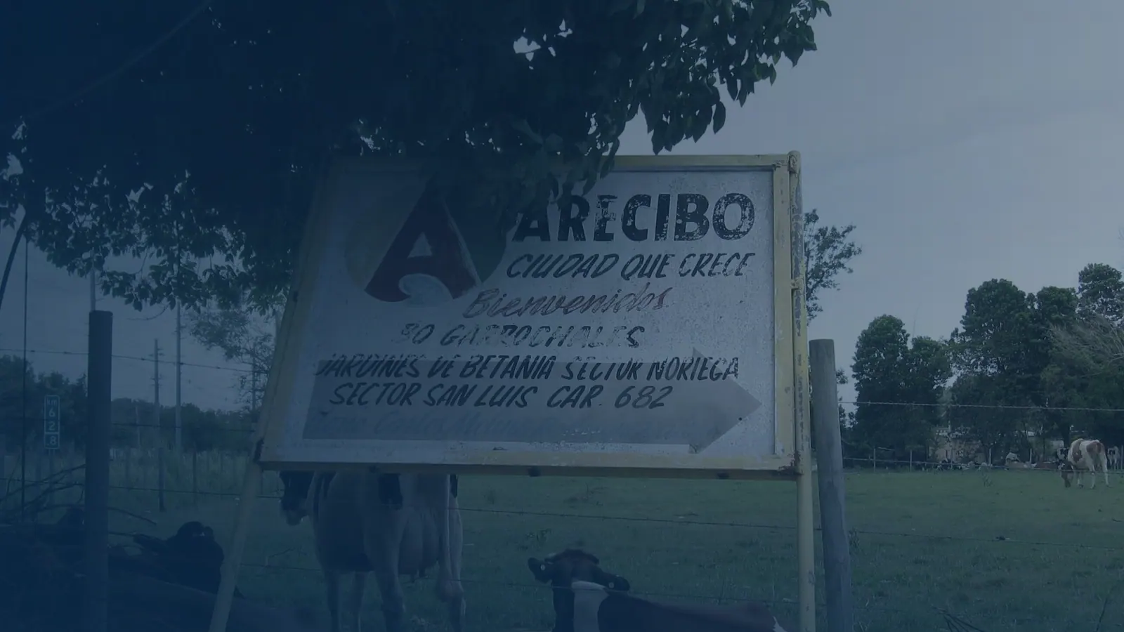 Vital records in Garrochales, Puerto Rico | US Records Garrochales, Puerto Rico, local vital records service area for birth, death, marriage and divorce certificates