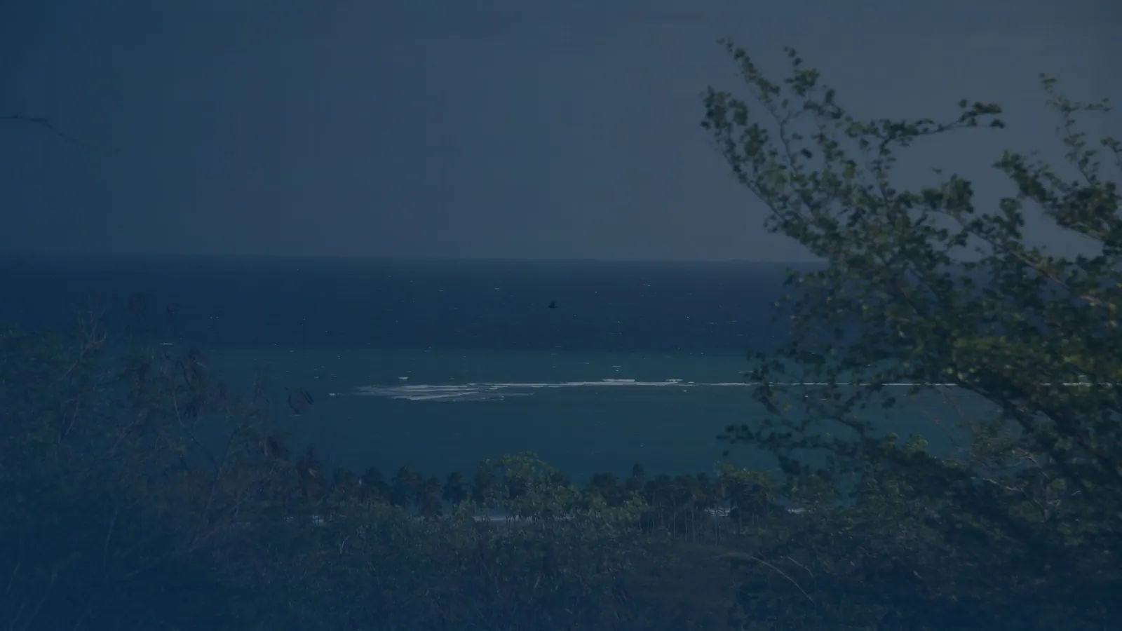 Vital records in Indios, Puerto Rico | US Records Indios, Puerto Rico, local vital records service area for birth, death, marriage and divorce certificates