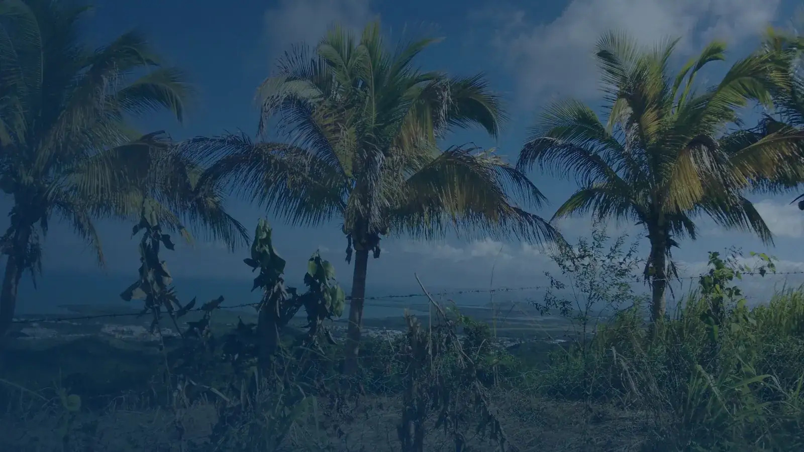 Vital records in Machos, Puerto Rico | US Records Machos, Puerto Rico, local vital records service area for birth, death, marriage and divorce certificates