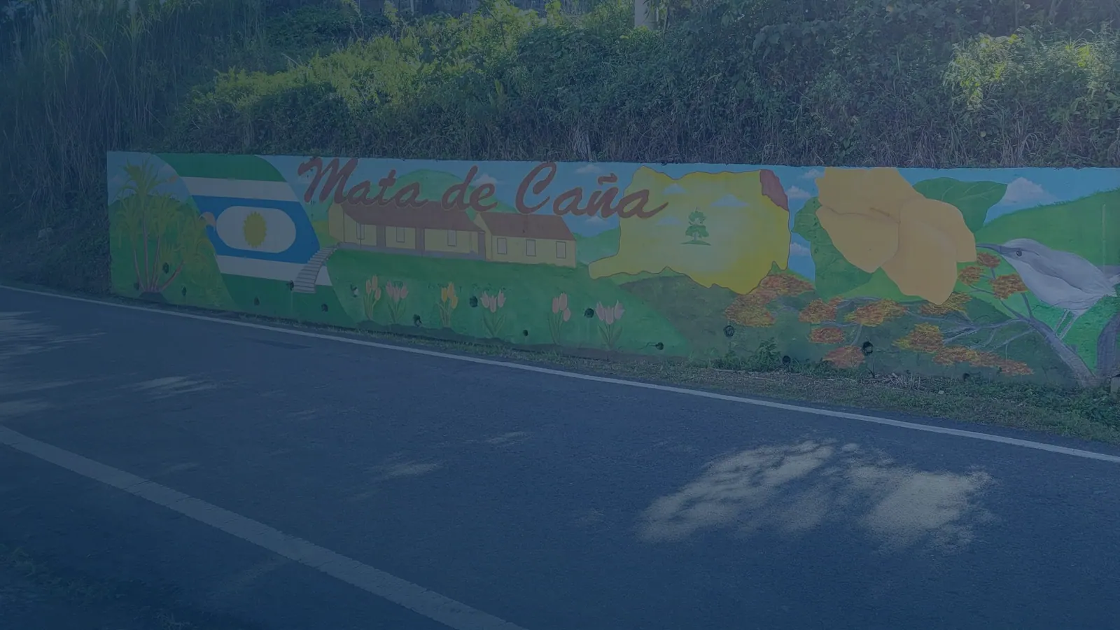 Vital records in Mata De Canas, Puerto Rico | US Records Mata De Canas, Puerto Rico, local vital records service area for birth, death, marriage and divorce certificates