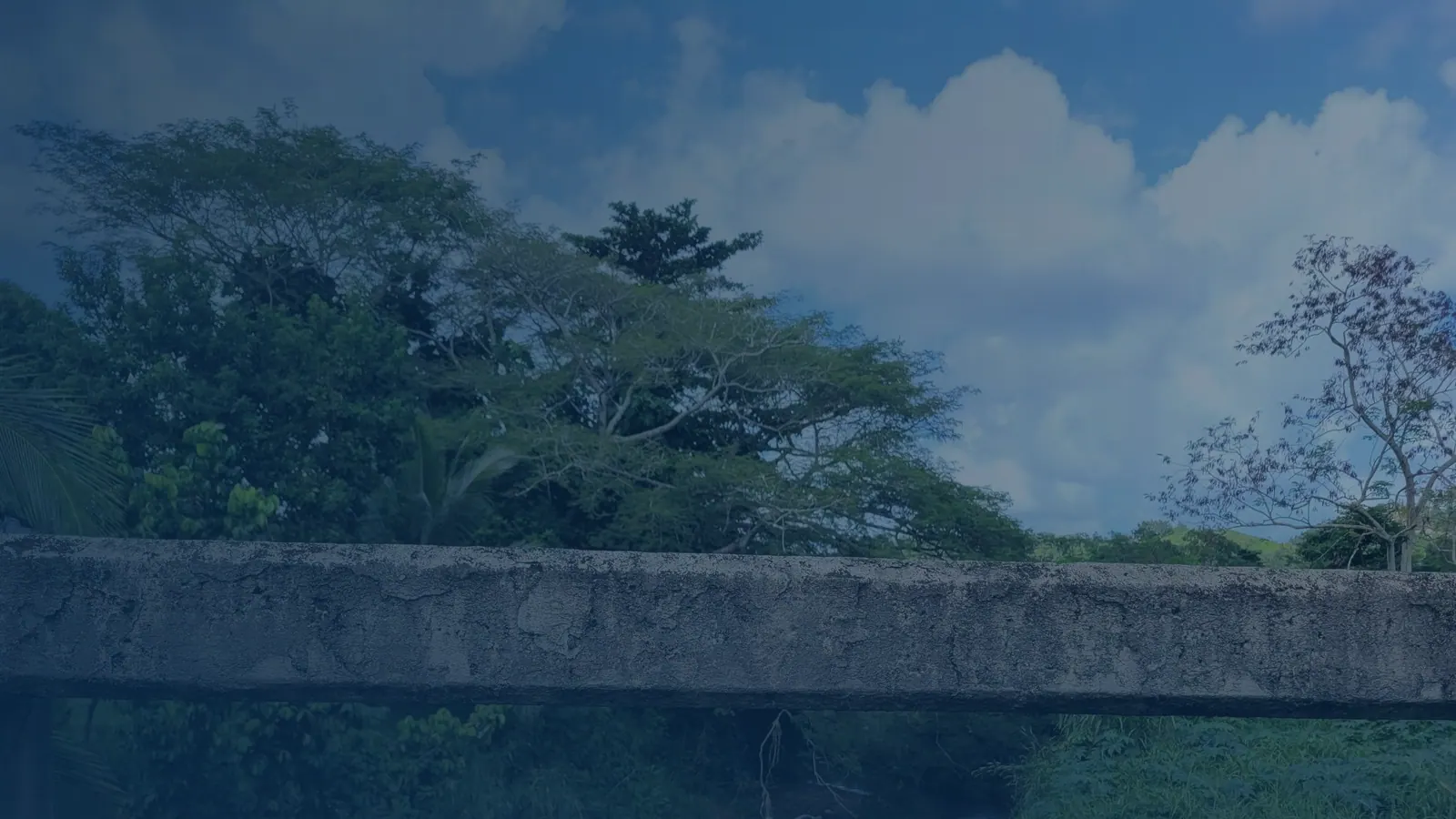 Vital records in Mucarabones, Puerto Rico | US Records Mucarabones, Puerto Rico, local vital records service area for birth, death, marriage and divorce certificates
