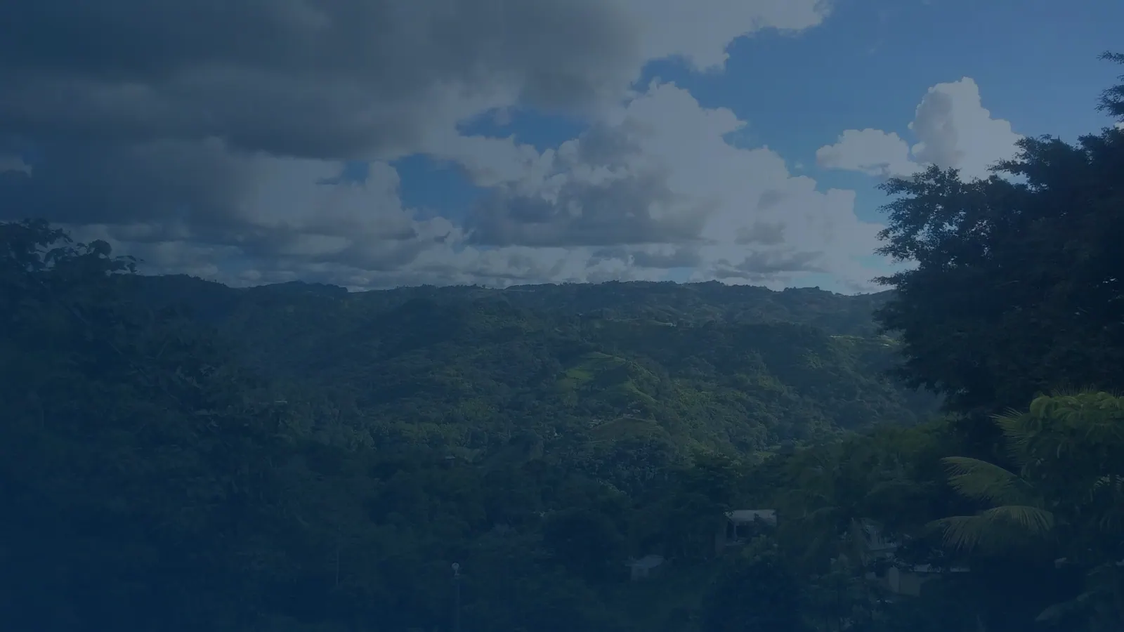 Vital records in Palmarito, Puerto Rico | US Records Palmarito, Puerto Rico, local vital records service area for birth, death, marriage and divorce certificates