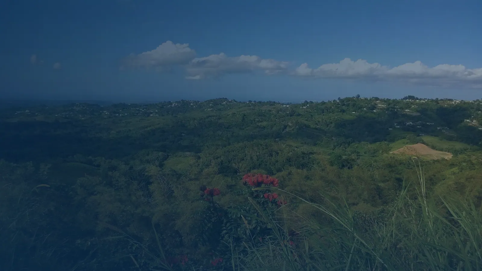 Vital records in Palos Blancos, Puerto Rico | US Records Palos Blancos, Puerto Rico, local vital records service area for birth, death, marriage and divorce certificates