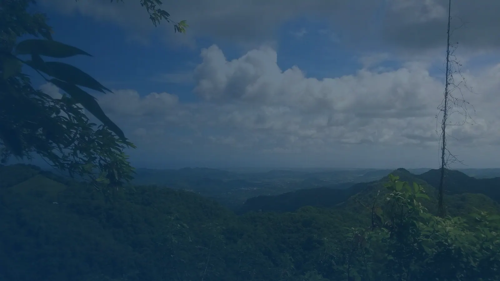 Vital records in Pulguillas, Puerto Rico | US Records Pulguillas, Puerto Rico, local vital records service area for birth, death, marriage and divorce certificates