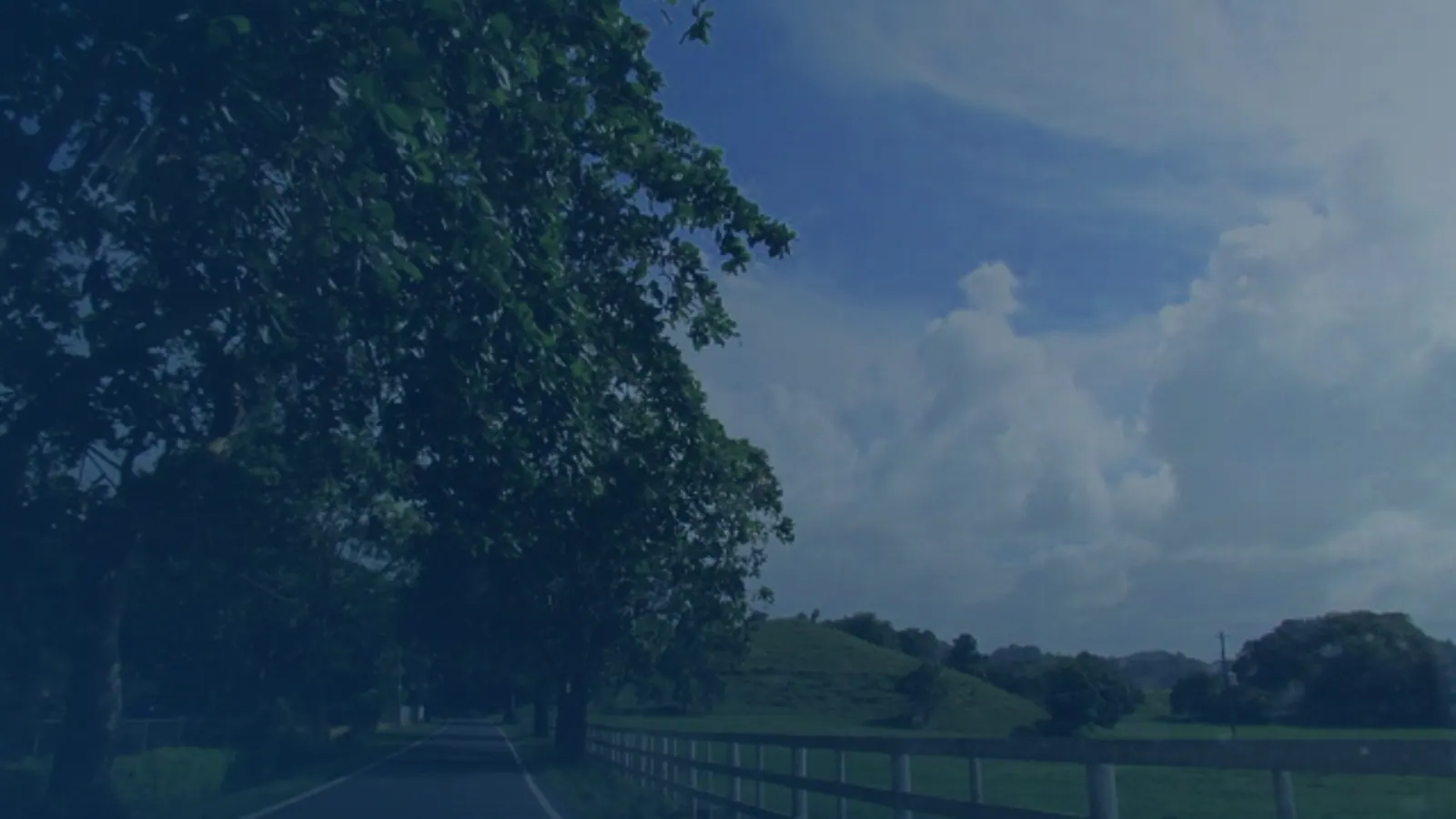 Vital records in Zanja, Puerto Rico | US Records Zanja, Puerto Rico, local vital records service area for birth, death, marriage and divorce certificates